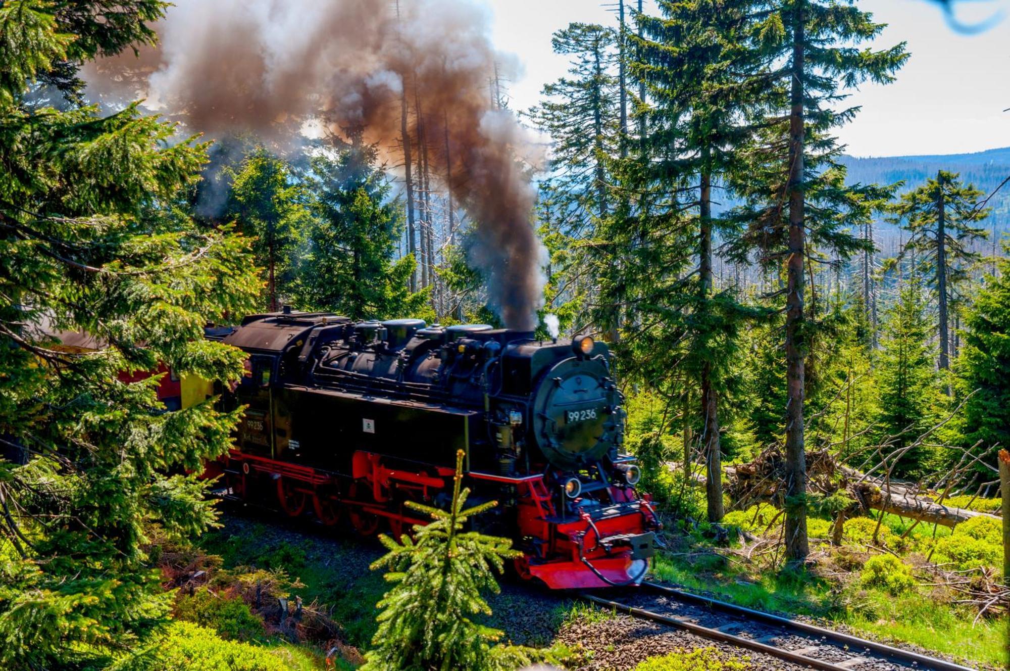 Regiohotel Harzresidenz Wernigerode Zewnętrze zdjęcie